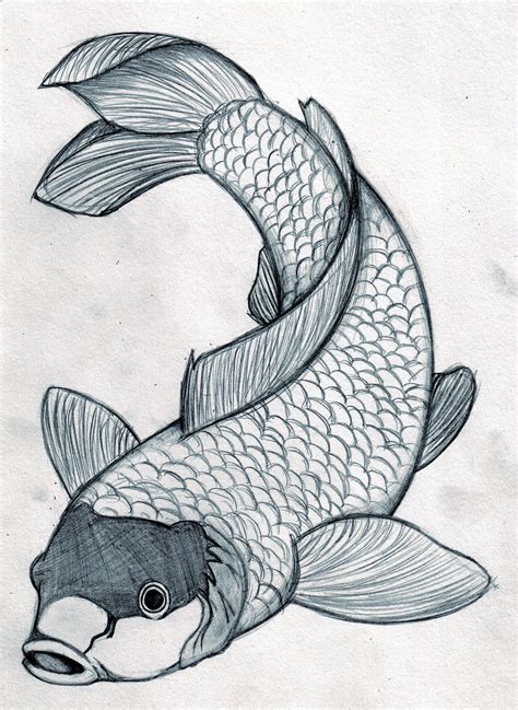 Koi Fish Drawing Easy - Koi Fish Drawing Simple At Getdrawings | Bodaswasuas