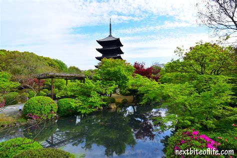 Toji Temple in Kyoto, Japan - A Postcard - Nextbiteoflife