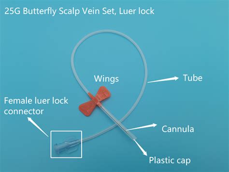 Winged Infusion Set Procedure No Tax | ids-deutschland.de