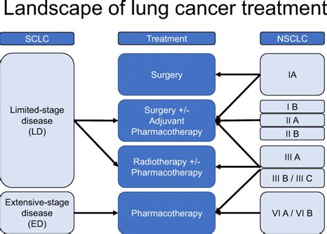 Landscape of lung cancer treatment. Treatment options for lung cancer... | Download Scientific ...