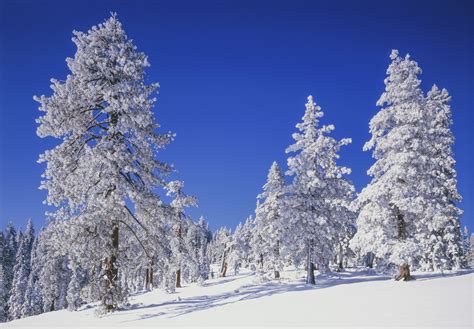 Lake Tahoe Winter Activities | Tahoe Rental Company