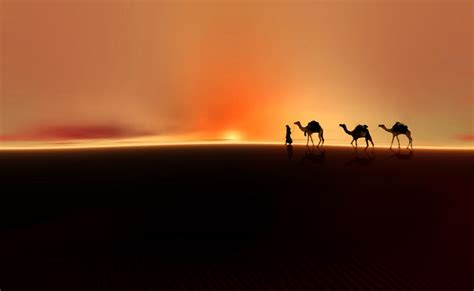 Desert mirage Photograph by Valerie Anne Kelly