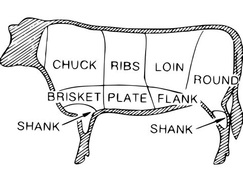 Beef Cutting Diagram Cuts Of Meat