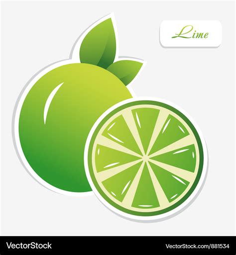 Lime sticker Royalty Free Vector Image - VectorStock