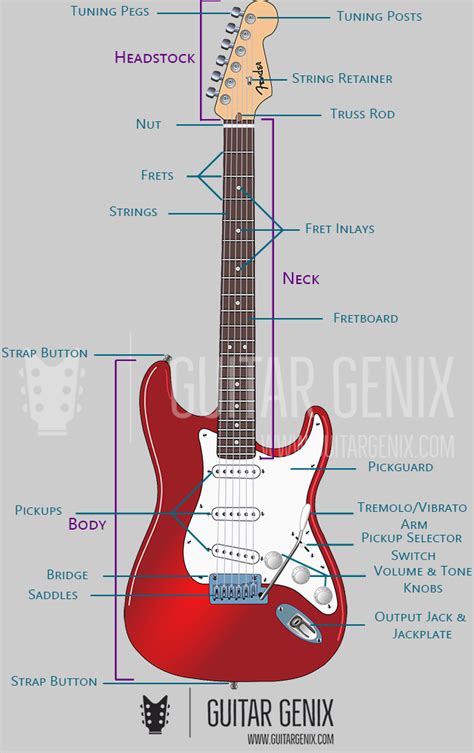 Different Parts of an Electric Guitar and Their Functions - Guitar Genix