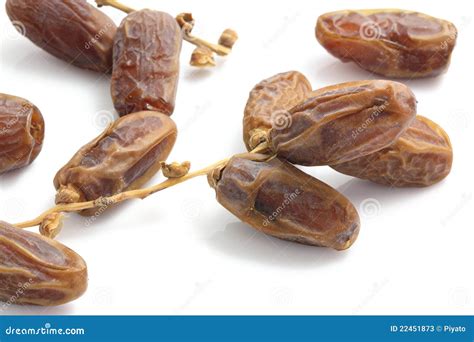 Date palm stock image. Image of middle, food, group, nature - 22451873