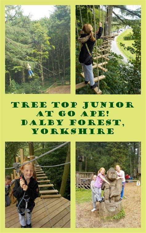 Tree top junior go ape at dalby forest north yorkshire – Artofit