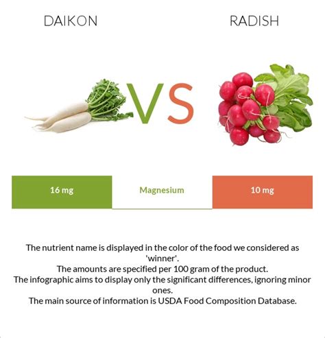 Daikon vs Radish - In-Depth Nutrition Comparison