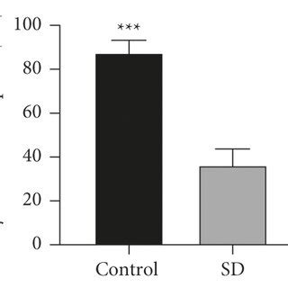 SD-induced depressive behaviors in rats. SD rat models were established ...