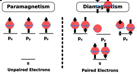 Paramagnetic vs. Diamagnetic Substances - Chemistry - PSIBERG