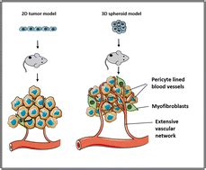 An ovarian spheroid based tumor model that represents vascularized tumors and enables the ...