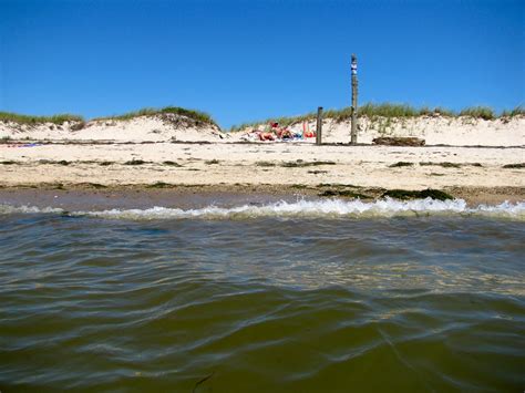 oh the places i've peed...: chatham, cape cod