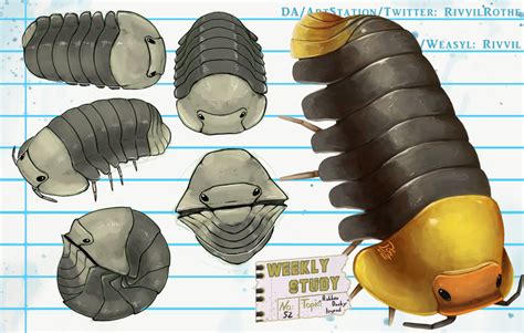 WeeklyStudies V2 #52 Rubber Ducky Isopod — Weasyl