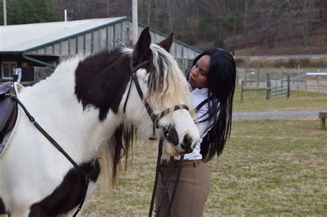 Horse Riding Gear: A Complete Guide