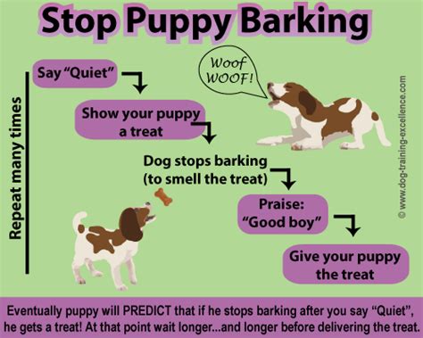 Why is my puppy barking and how do I stop it?