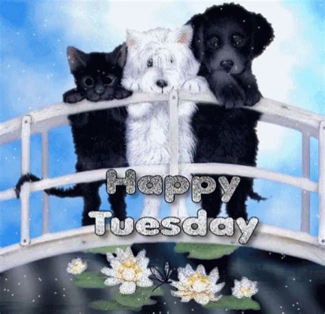 Happy Tuesday Dogs GIF - HappyTuesday Dogs - Discover & Share GIFs