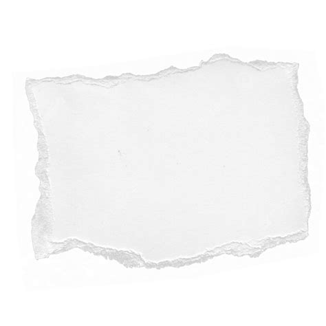 Stylish Ripped Torn Paper Texture Background Transparent, Ripped, Transparent, Paper PNG ...