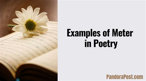 Examples of Meter in Poetry with Explanation - Pandora Post