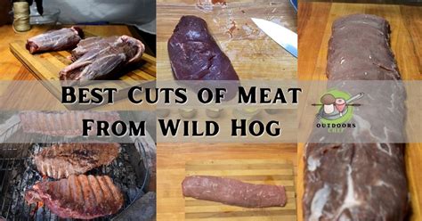 Best Cuts of Meat From Wild Hog - OutdoorsChef