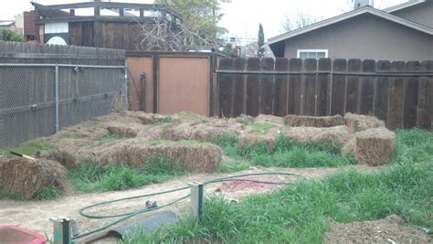 Hay Bale Gardening : 8 Steps - Instructables