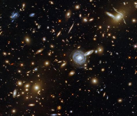 A Menagerie of Galaxies: Hubble Captures a Cluster With Galaxies of All ...