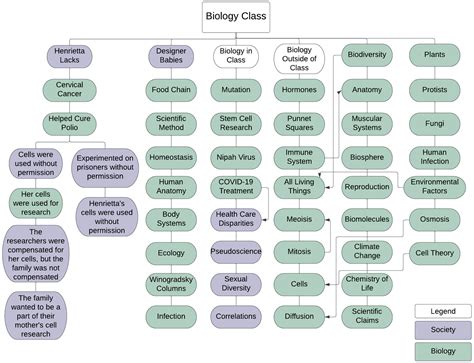 Frontiers | Embracing the inclusion of societal concepts in biology ...