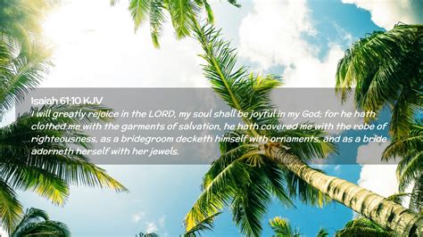 Isaiah 61:10 KJV Desktop Wallpaper - I will greatly rejoice in the LORD ...