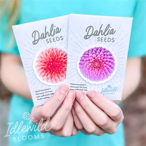 Dahlia Gifts – Idlewild Blooms