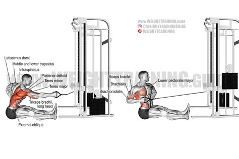 Seated twisting cable row exercise instructions and video