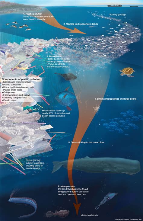 plastic pollution Facts | Britannica