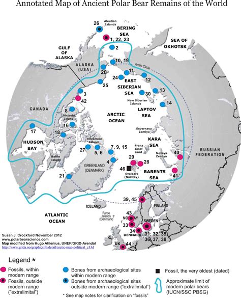 Ancient Polar Bear Remains of the World | polarbearscience