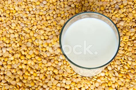 Soybean Milk Stock Photo | Royalty-Free | FreeImages