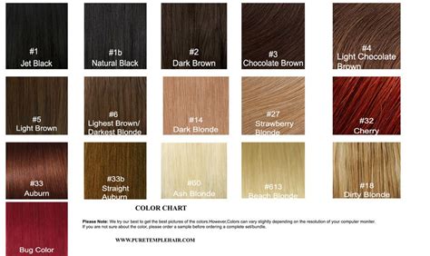 Remy Human Hair Color Chart