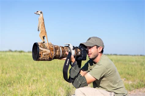 A Pro Shares His Go-To Gear For Wildlife Photography - 500px