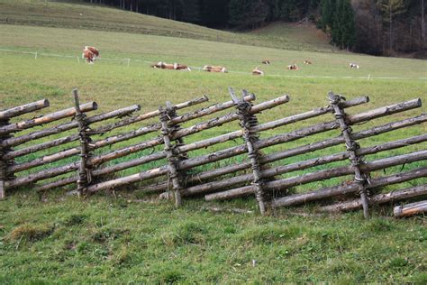 Pin by Jack Evans on Outside/Yard | Rustic fence, Wood fence design ...