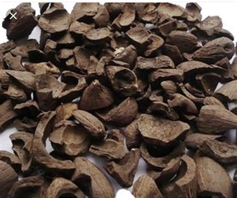 Palm Kernel Shell - YT & T Resources Sdn. Bhd.