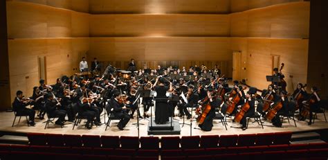 Nassau Flute Choir, String Orchestra, and Concert Orchestra at AUPAC - The Metropolitan Youth ...