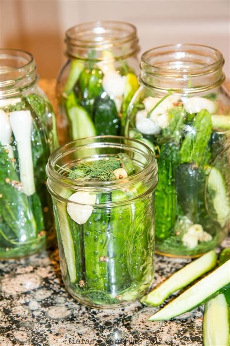 Refrigerator kosher dill pickles recipe – Artofit