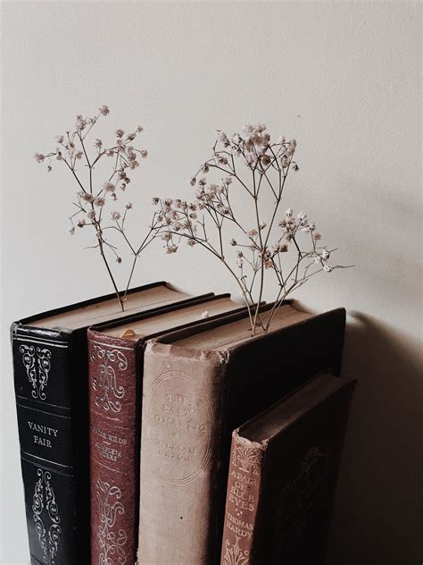 dark academia books and dried flowers | Aesthetic light, Light academia, Light in the dark