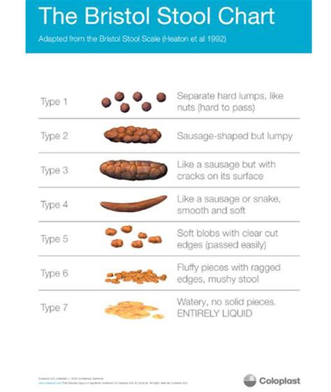 what is the bristol stool chart - is my poo normal stool chart shows ...