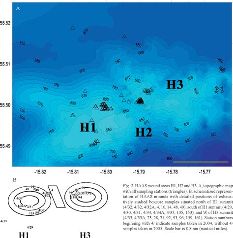 Figure 2 from Sponge diversity and community composition in Irish bathyal coral reefs | Semantic ...