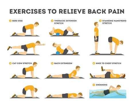 Physiotherapy Exercises for Lower Back Pain | Top 11 Exercises