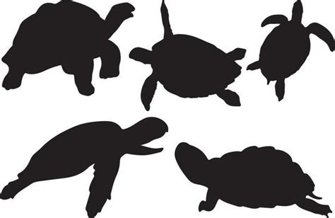 Tortoise Silhouette Vector Art, Icons, and Graphics for Free Download