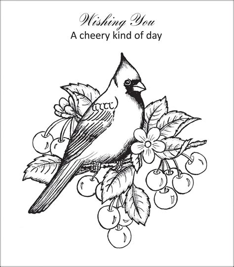 Printable Cardinal Coloring Page