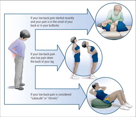 Low Back Pain: How Does Your Physical Therapist Treat Low Back Pain?: Journal of Orthopaedic ...