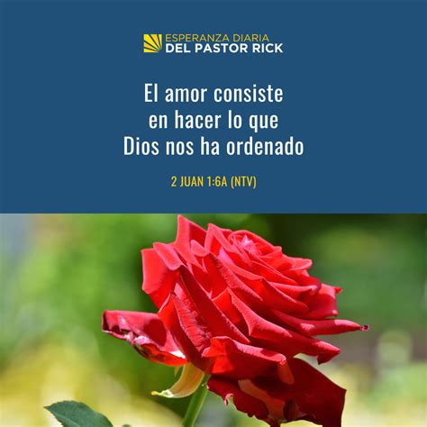 Entiende la Definición de Amor de Dios - Pastor Rick's Daily Hope