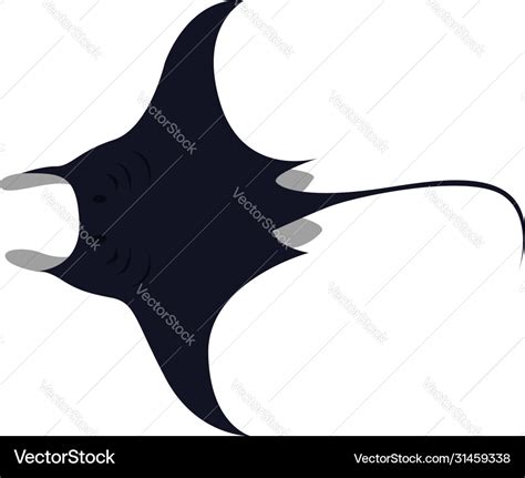 Manta ray on white background Royalty Free Vector Image