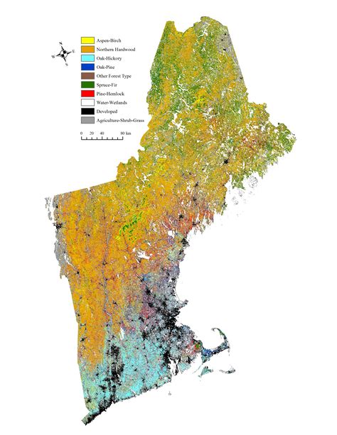 Forest types of New England - Vivid Maps