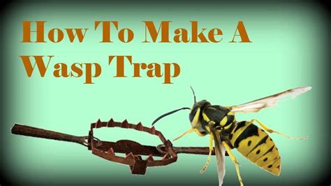 How To Make A Wasp Trap! | Wasp traps, Wasp, Garden pests