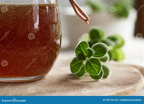 Fresh Coleus Amboinicus Plant with a Jar of Syrup for Cough Stock Photo - Image of common ...